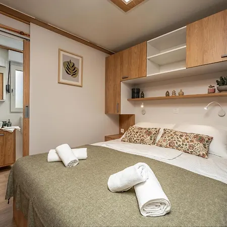 Premium House 5